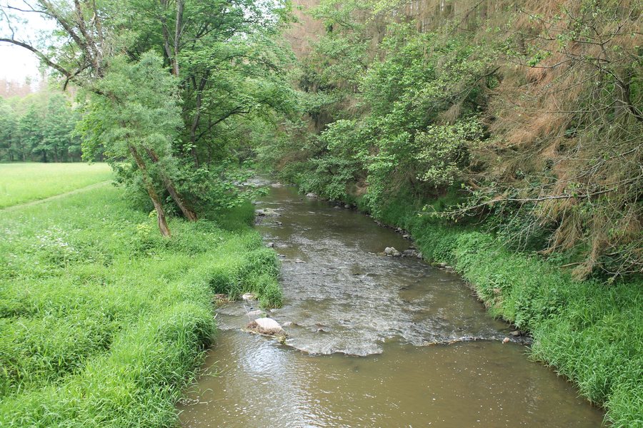 File:Moravecké Pavlovice, Habří, Bobrůvka (2020-06-06; 01).jpg