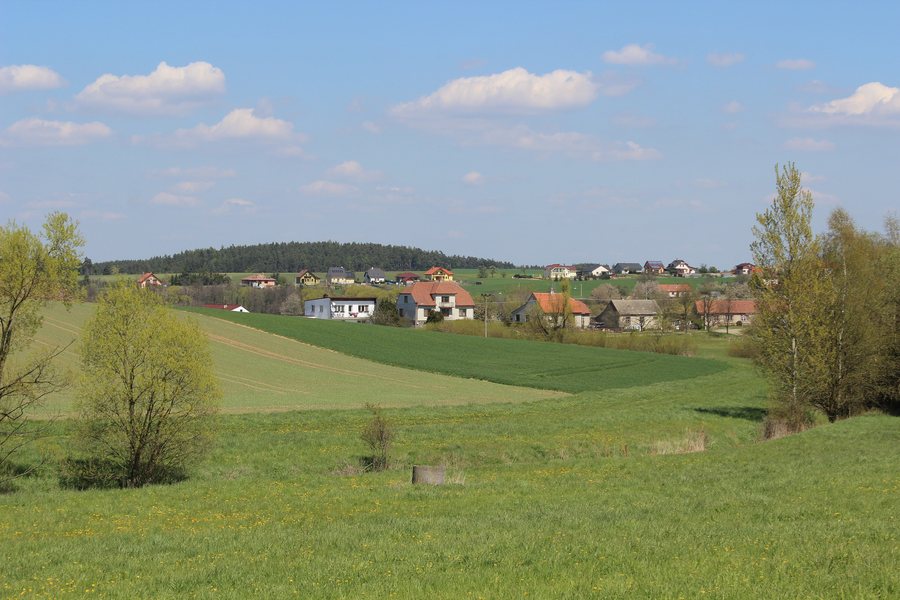 File:Křižínkov - Kartouzy.jpg