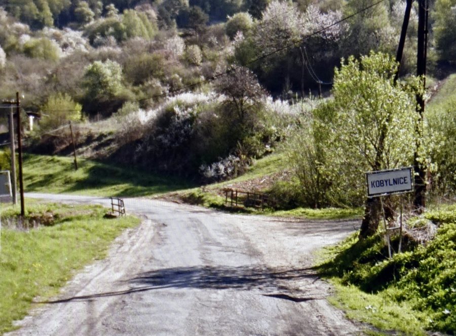 File:Kobylnice, okres Svidník 22 Slovakia 2.jpg