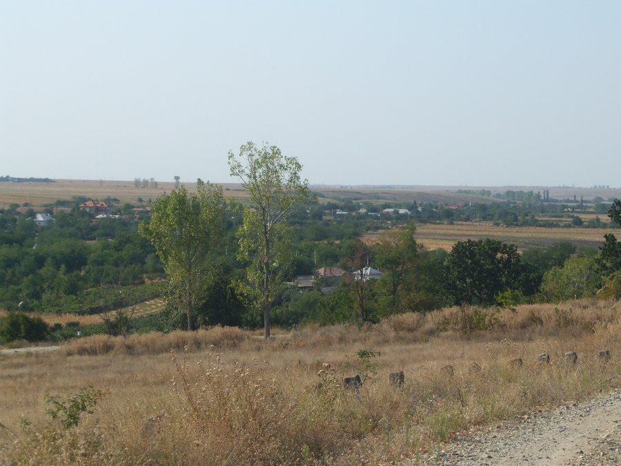 File:View of Popanzalesti Dolj Romania.jpg