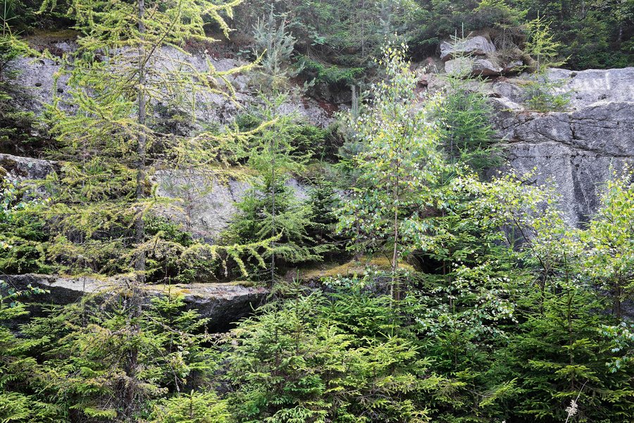 File:Jindřichovice bývalý kamenolom červenec 2025 (2).jpg