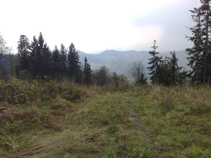 File:976 97 Nemecká, Slovakia - panoramio (1).jpg