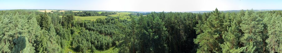 File:Čiobiškio apylinkės nuo bokšto - panoramio.jpg