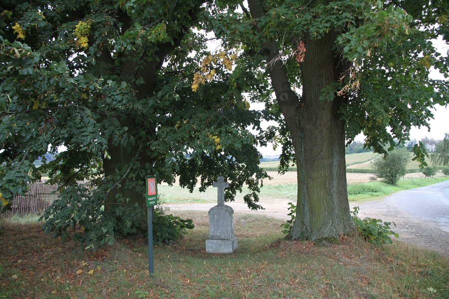 File:Lípy u křížku, Bohdaneč (08).jpg