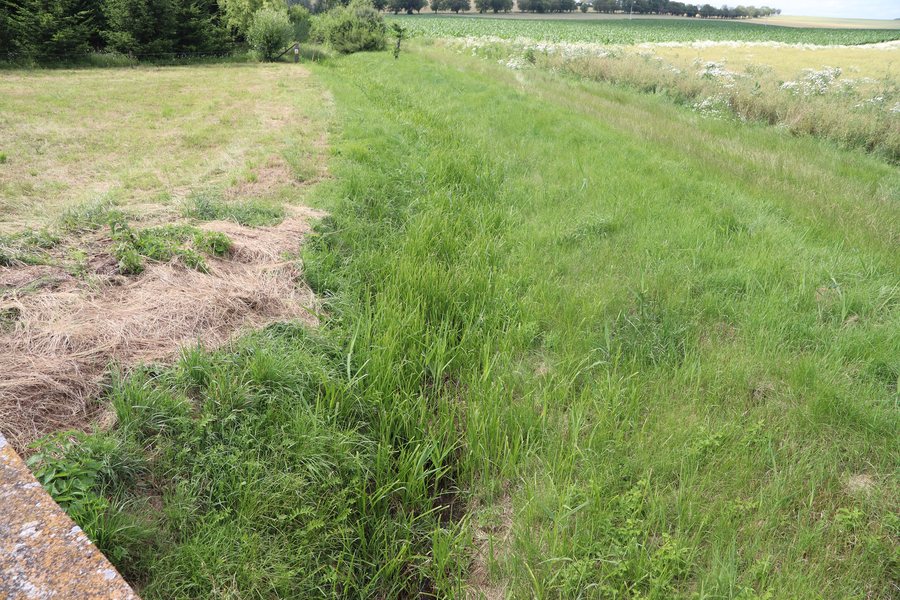 File:Overview 2 of stream Štenkrava near Lhánice, Třebíč District.jpg