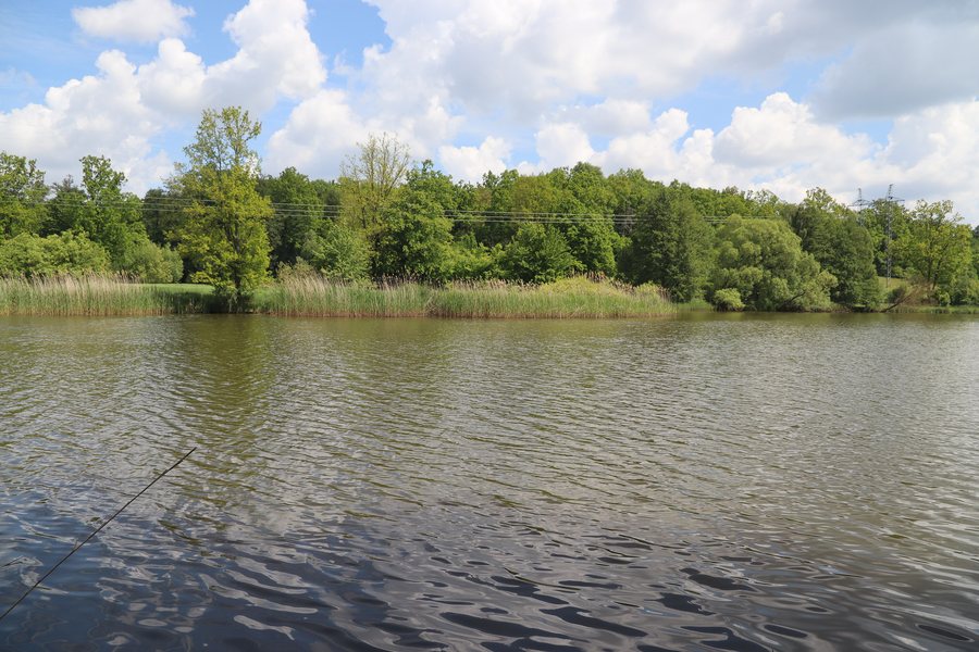 File:Overview of Podlipský rybník near Přeckov, Třebíč District.jpg