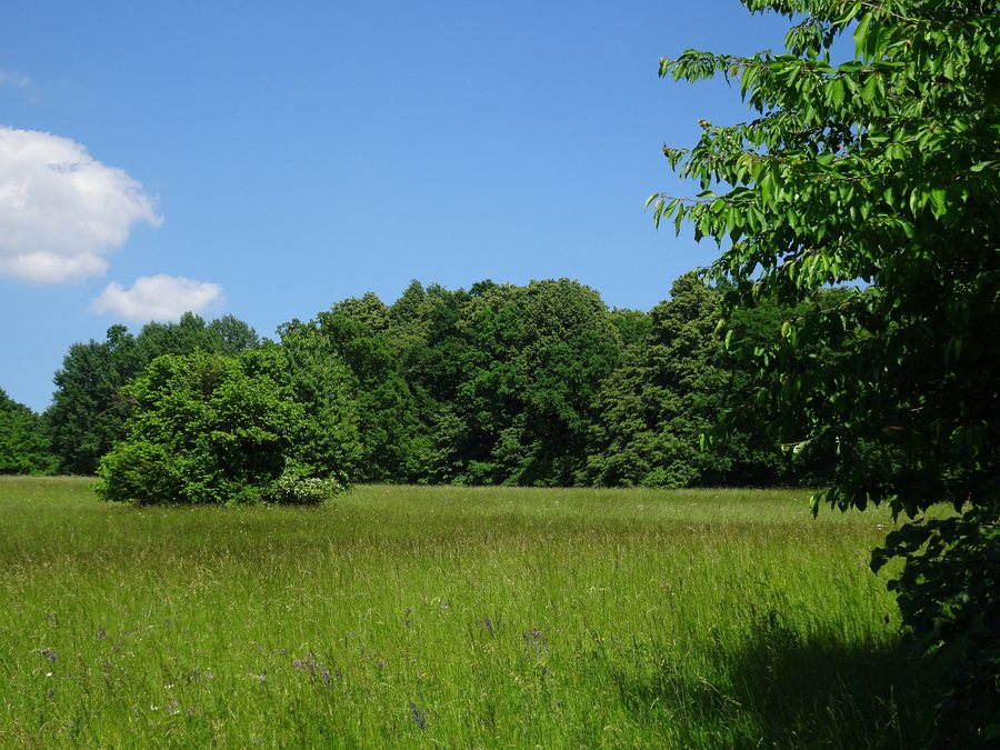 File:Velká nad Veličkou, Pod Machovou (11).jpg