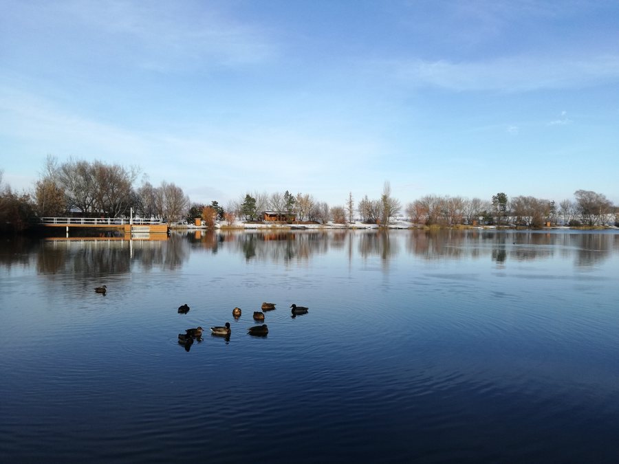 File:Rybník Grunty, Jiříkovice.jpg