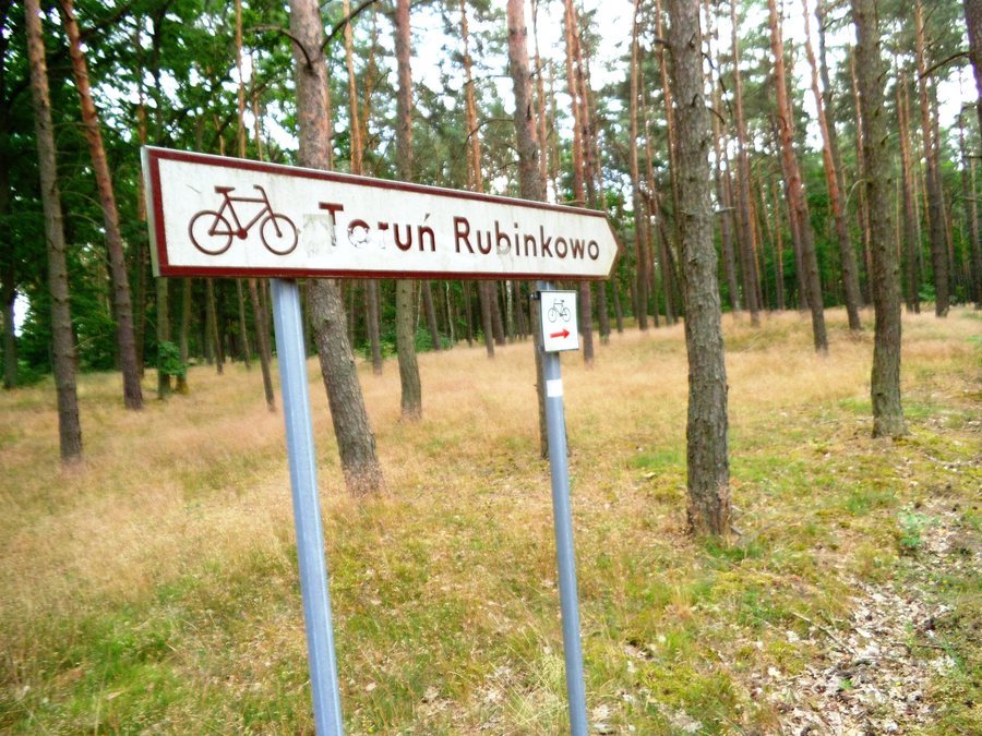 File:Droga rowerowa Toruń - Chełmża, gminna Łysomice.jpg