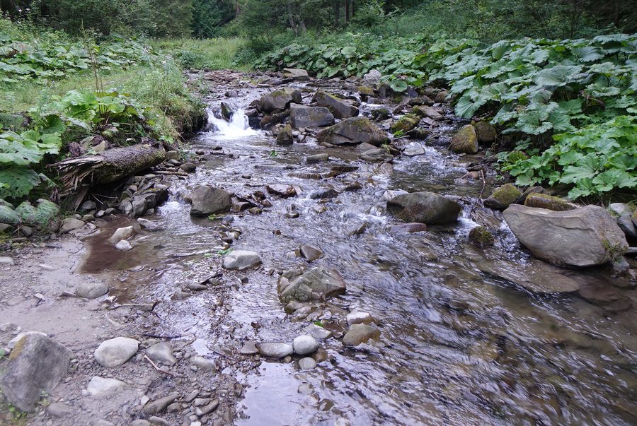 File:Potok Potasznia BS25.jpg