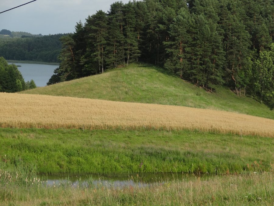 File:Gmina Jeleniewo, Poland - panoramio (100).jpg