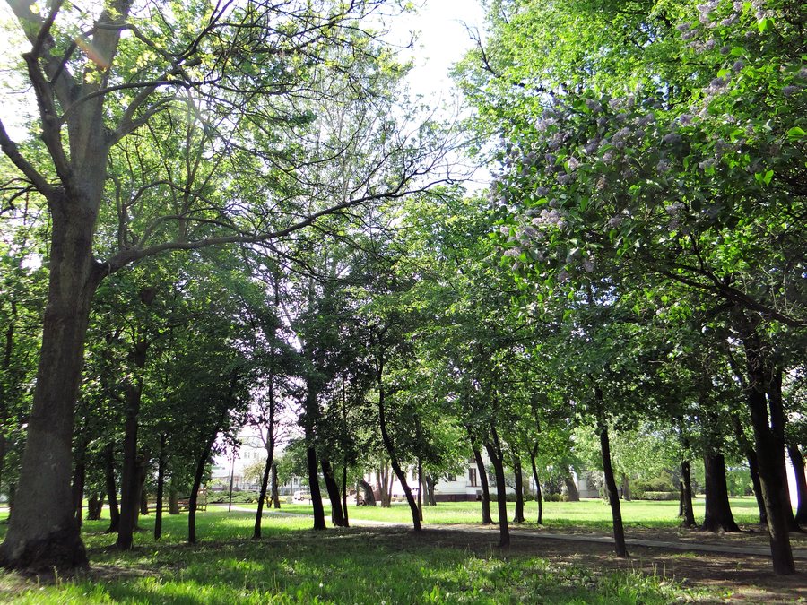 File:05 - Manor Park in Płońsk Poświętne - 02.jpg