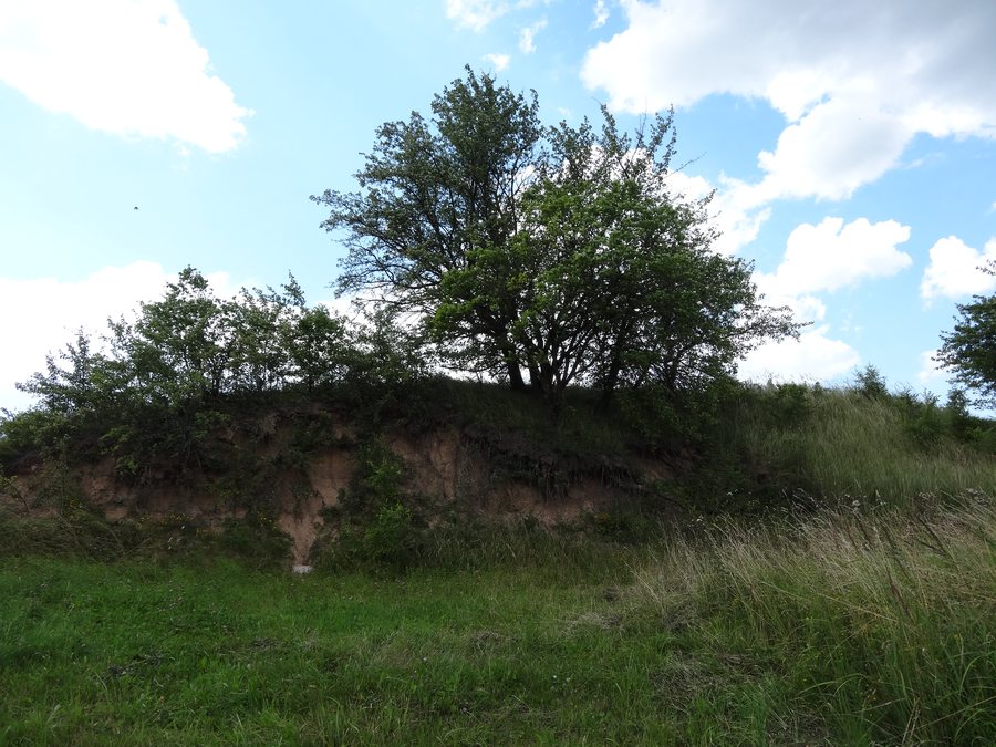 File:Gmina Giby, Poland - panoramio (10).jpg