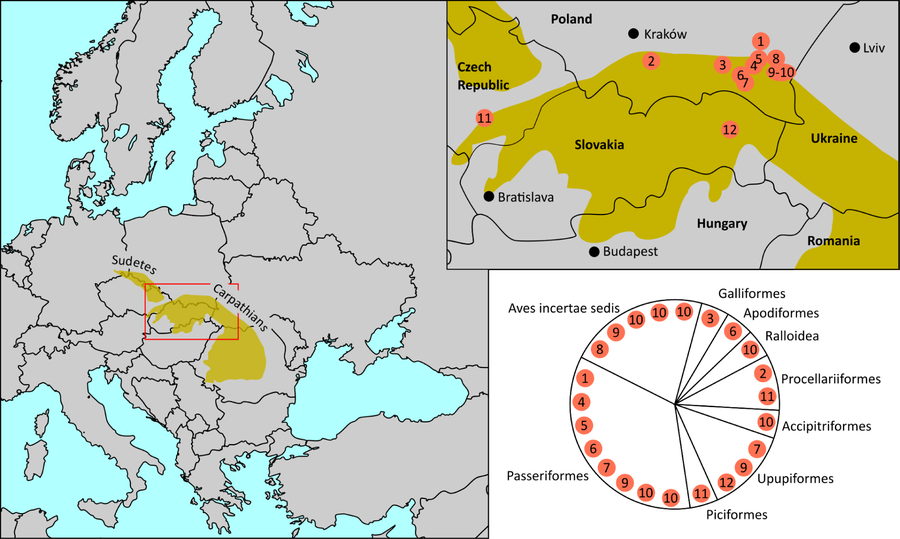 File:Oligocene bird fossil sites (Carpathian Arc).png