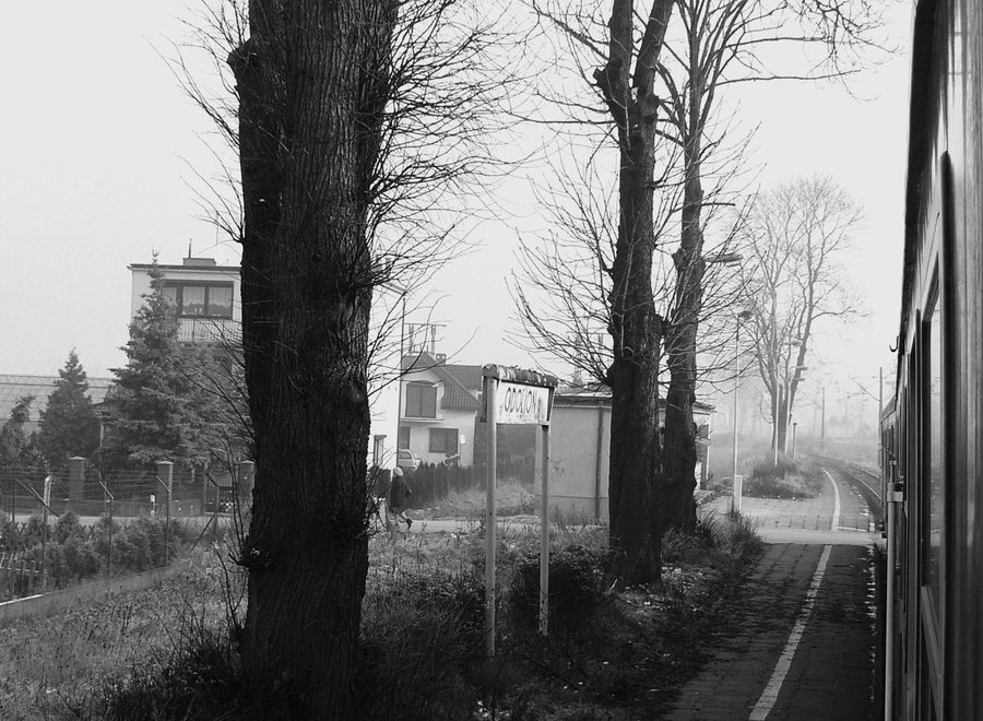 Odolion Rail Stop