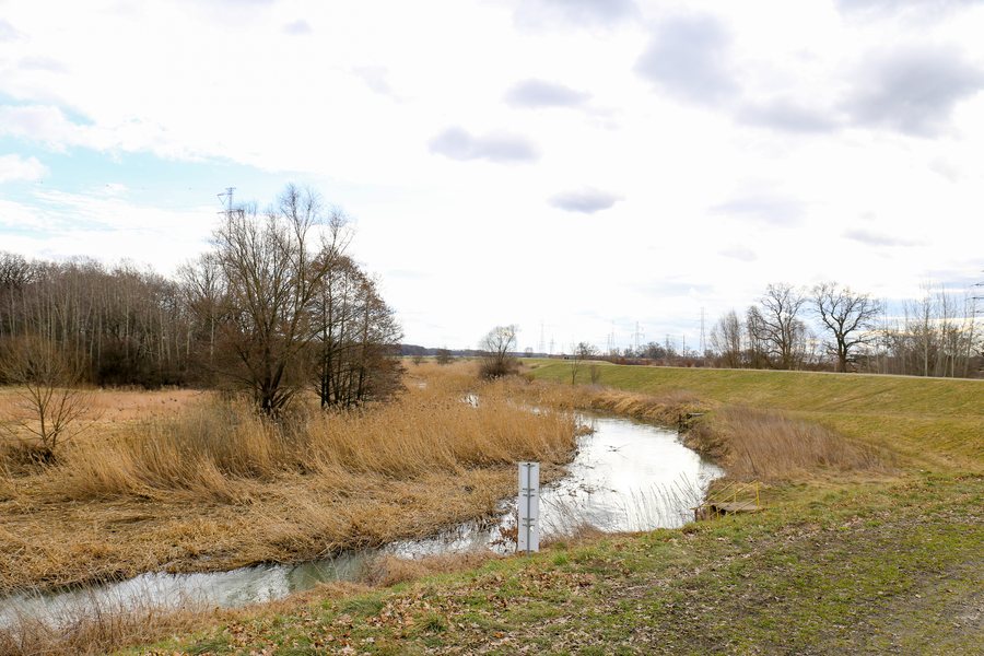 File:2021-03 Siechnice (02) Oława.jpg