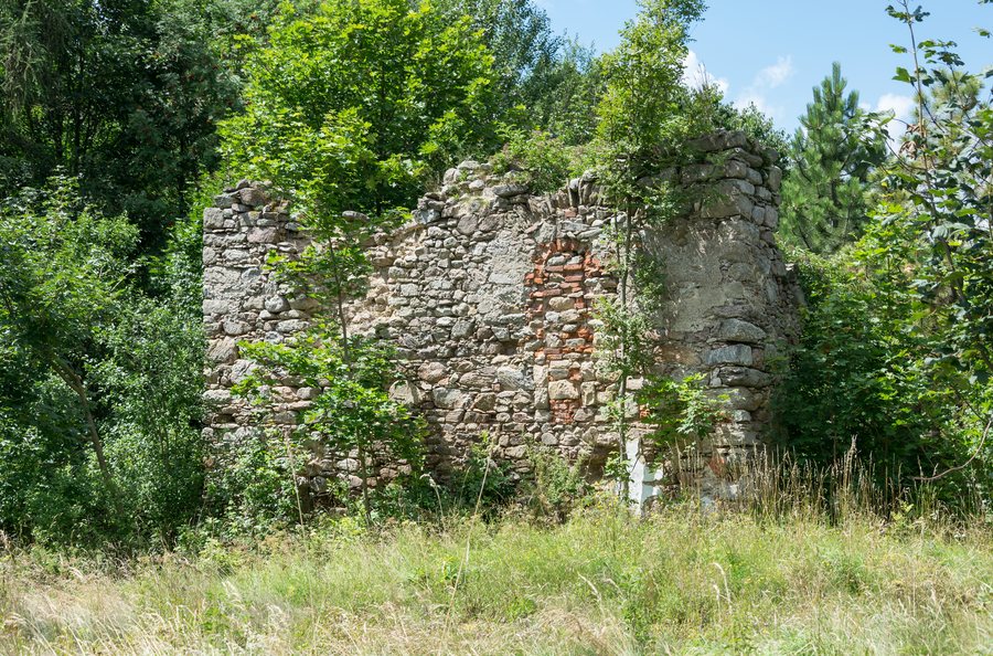 Castle ruins in Idzików
