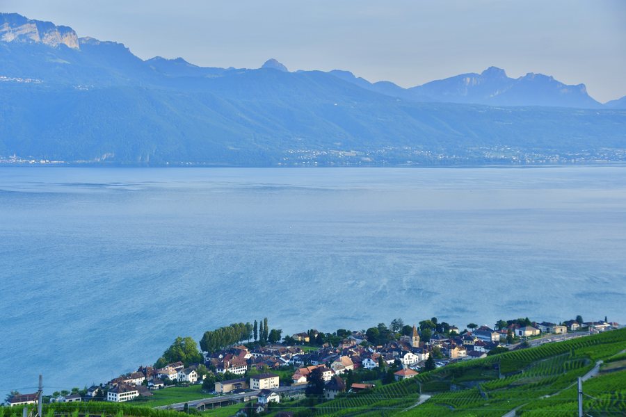 File:Cully (VD).jpg