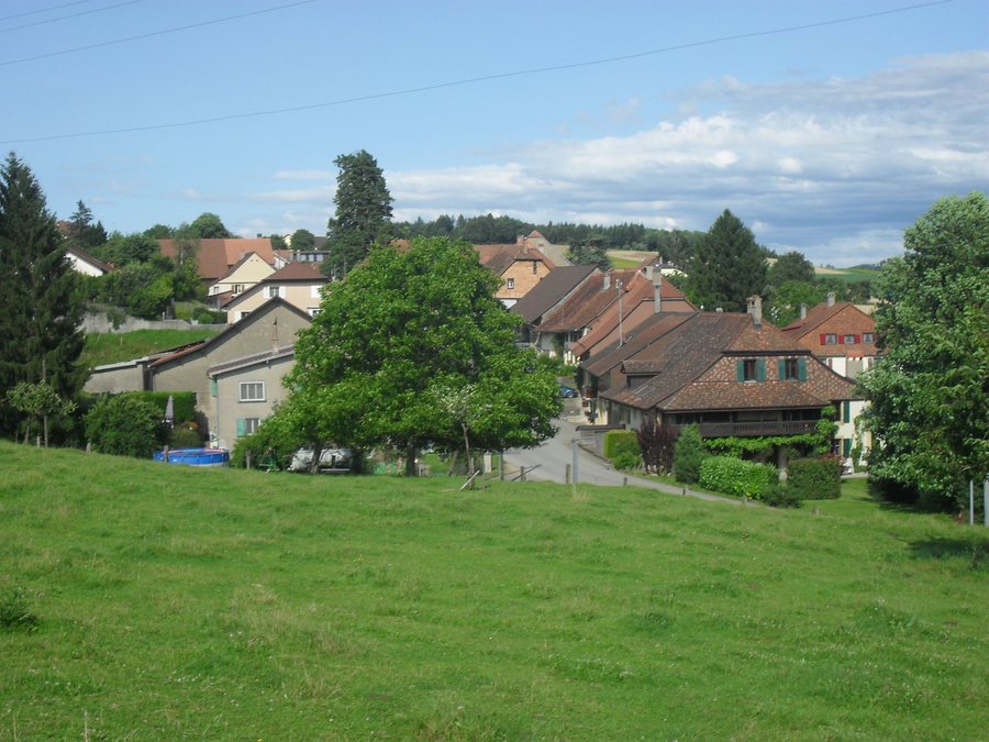 File:Cronay.JPG