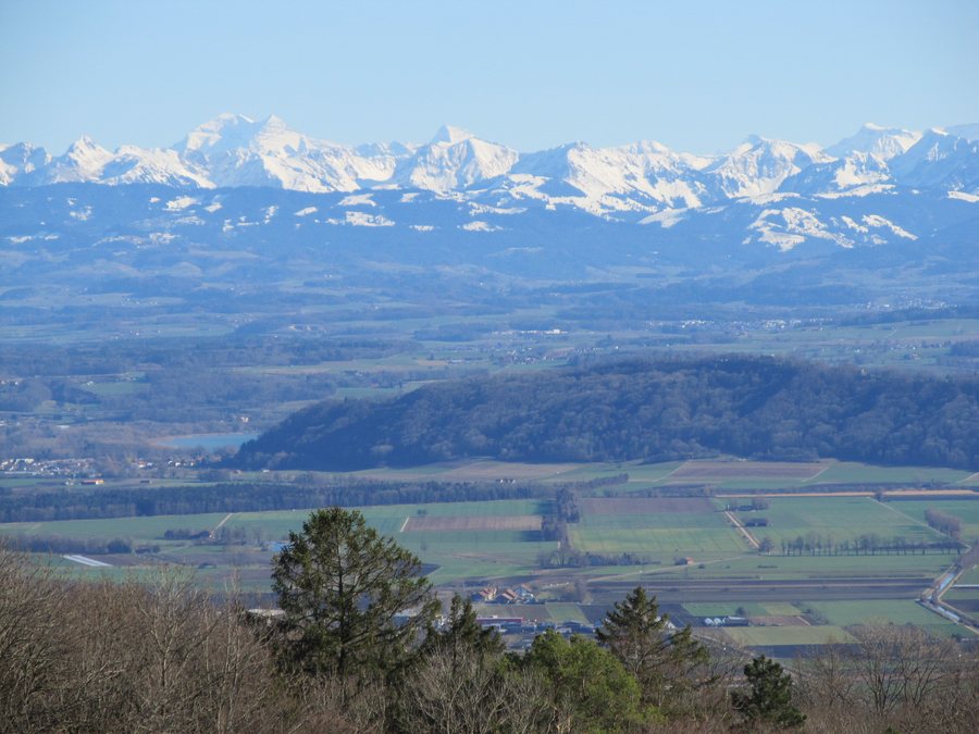 File:Le Mont Vully et les Alpes vu depuis Enges.jpg