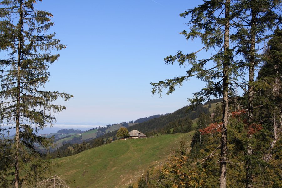 File:Schwarzsee (Plaffeien) 3350.jpg