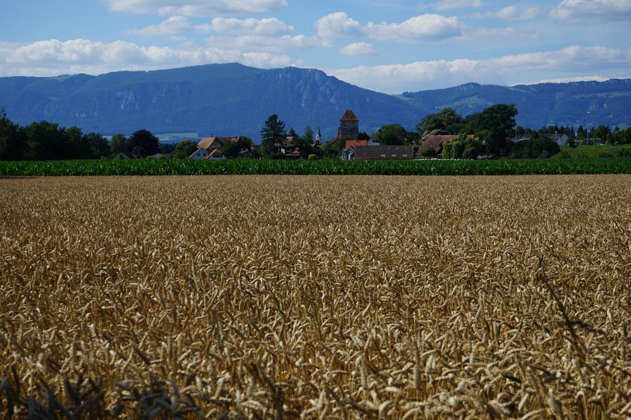 File:Halten und Kirche Kriegstetten.jpg