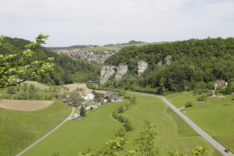 File:Läufelfingen Neuhaus Bucktenflue P6A7831.jpg