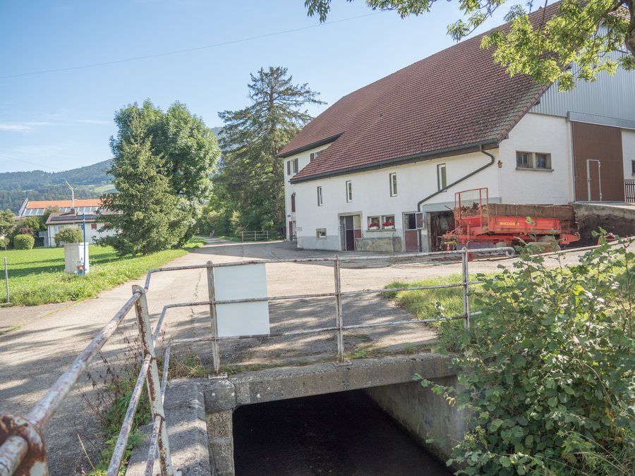 File:Chemin de la Charrière-Übergang über den Seyon, Dombresson NE 20240907-jag9889.jpg