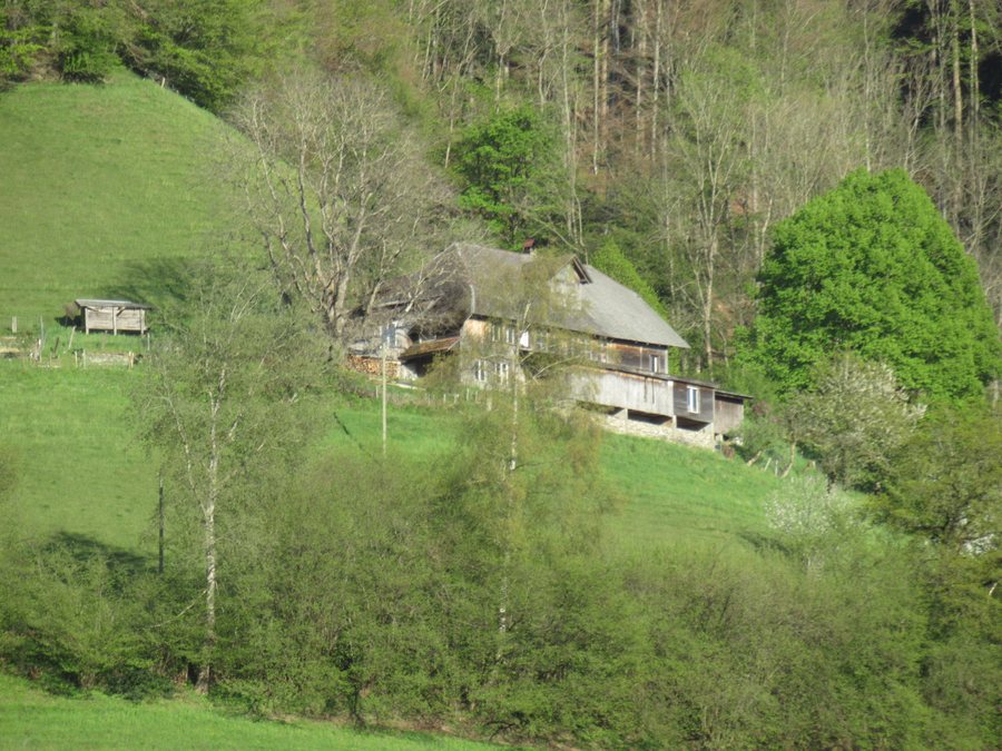 Bauernhof in Walkringen, Mai 2022