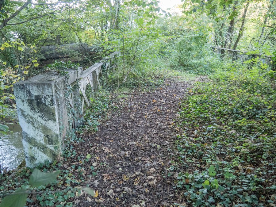 File:Feldwegbrücke bei Moulin du Choc über die Venoge, Bussigny VD – Aclens VD 20241005-jag9889.jpg