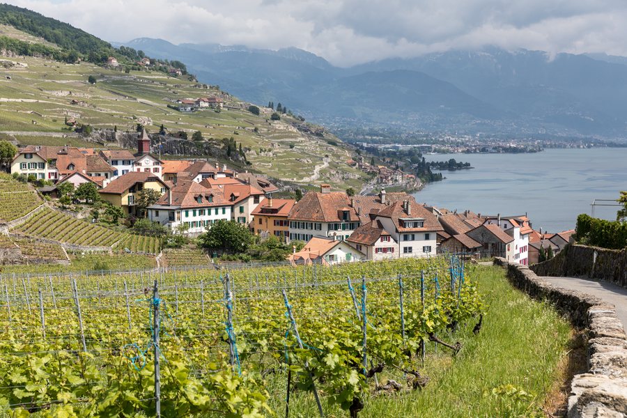 File:Blick von Westen auf Rivaz VD.jpg