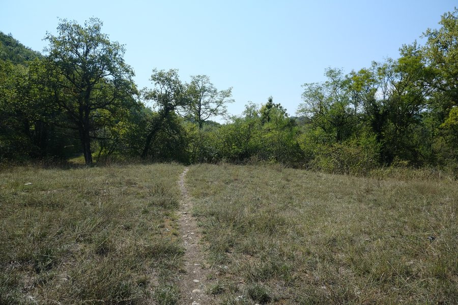Sentier le long de l'Allondon @ Satigny