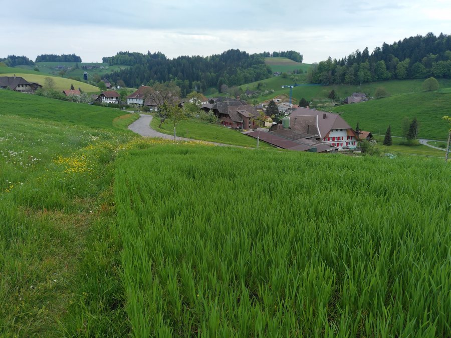 File:Walterswil BE 2023.jpg