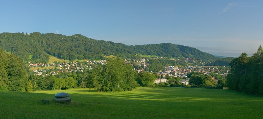 File:Adliswil from Chopfholz 20200710.jpg