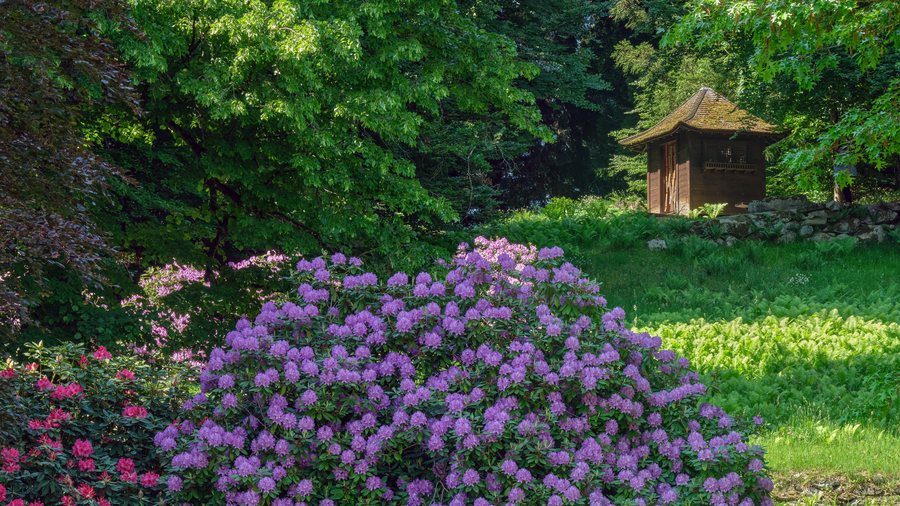 View of a Japanese Garden on the Buonas peninsula in Risch