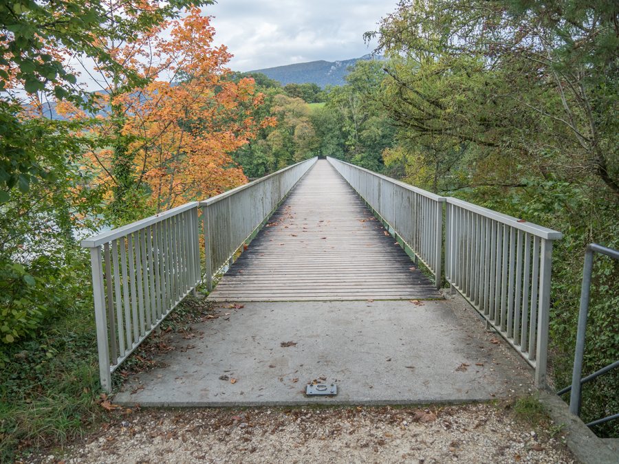 File:Fussgängerbrücke beim Emmenspitz über die Aare, Riedholz SO – Zuchwil SO 20241009-jag9889.jpg