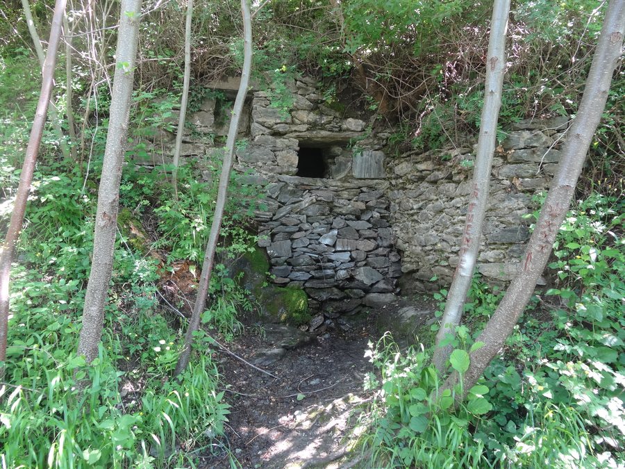 File:Font de la Canerilla, Rialp (juny 2013) - panoramio.jpg