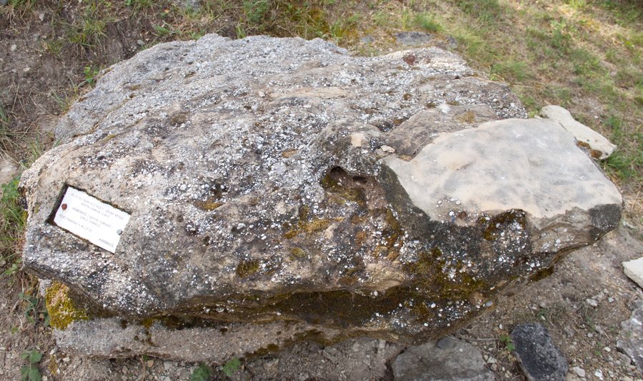File:Sandstone, Karmacs, Somló formation.jpg