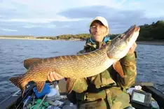 Angler holds a pike on the Möhnesee