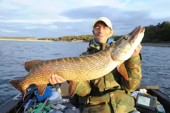 Angler holds a pike on the Möhnesee