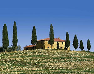 Tuscany Agritourism