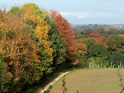 Autumn holidays
