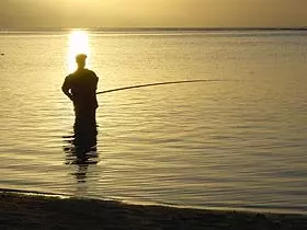 Angler on a quiet lake