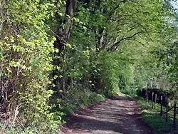 Walking holidays