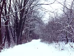 Winter holidays